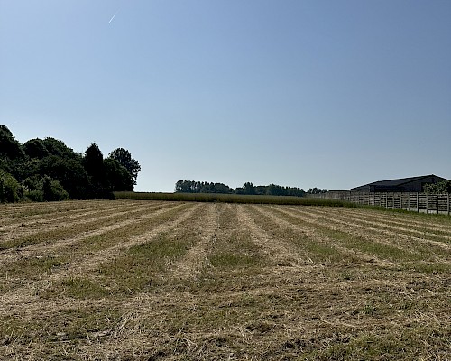 3 loten open bebouwing